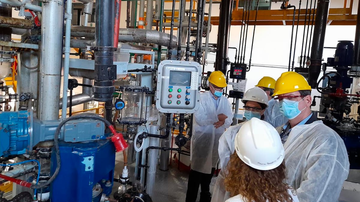 La econom铆a alcanz贸 en diciembre