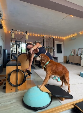 Un perro apoya sus patas delanteras sobre una semiesfera celeste junto a una mujer inclinada en una sala con máquinas de pilates