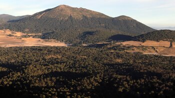 Talamontes desarmaron y golpearon a