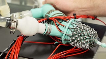 Desarrollan un corazón artificial que imita los movimientos de uno real para entender mejor las enfermedades cardiovasculares