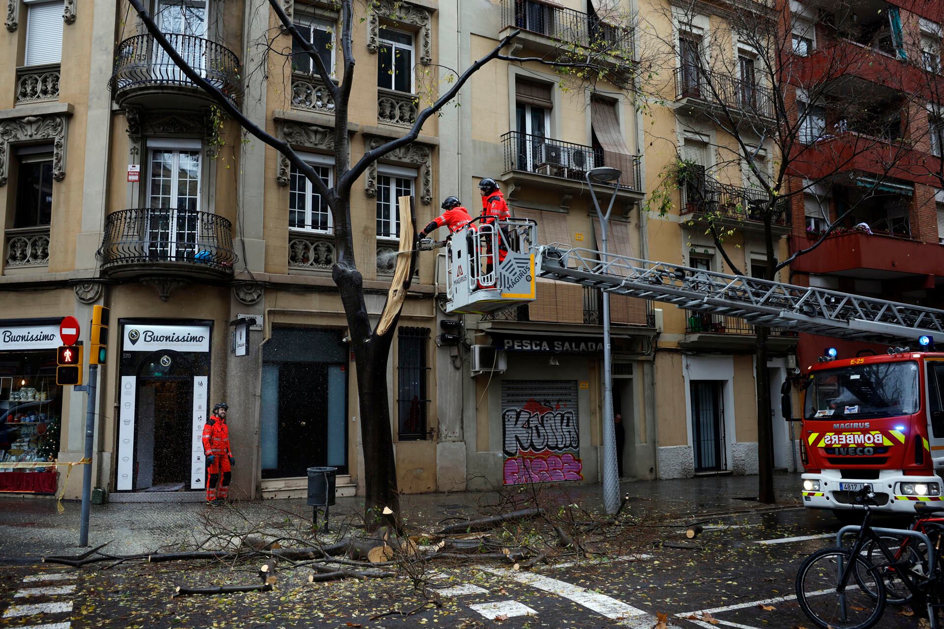 Una brigada de bomberos corta un árbol que ha caído parcialmente en el Example Esquerre de Barcelona este sábado. (EFE/Alberto Estévez)