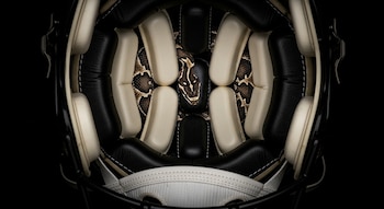 Interior de un casco de fútbol americano negro y crema con una serpiente cottonmouth enrollada entre el acolchado.