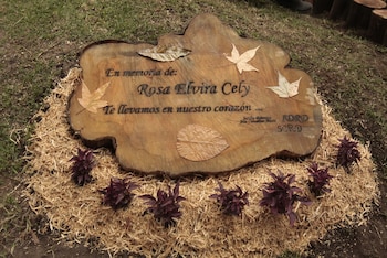 La vigilia y plantón en honor a Rosa Elvira Cely buscan visibilizar el aumento de feminicidios en Colombia durante 2024 - crédito Christian Castillo M/Colprensa
