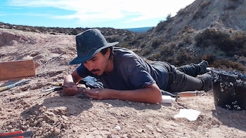 Gerardo Álvarez Herrera buscando fósiles en la excavación de Paleoteius (gentileza Conicet)