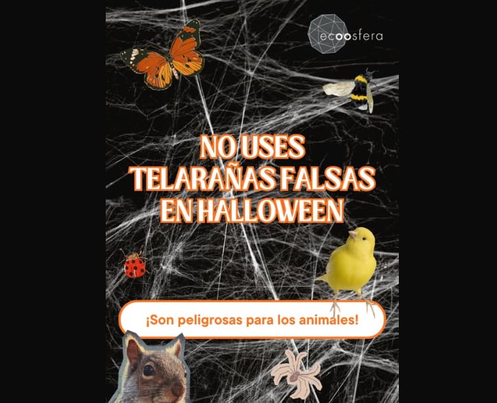 (Redes Sociales)