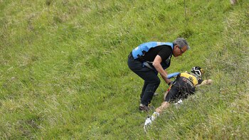 MALLABIA, SPAIN - APRIL 08: