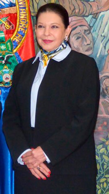 La subsecretaria María Teresa Mercado