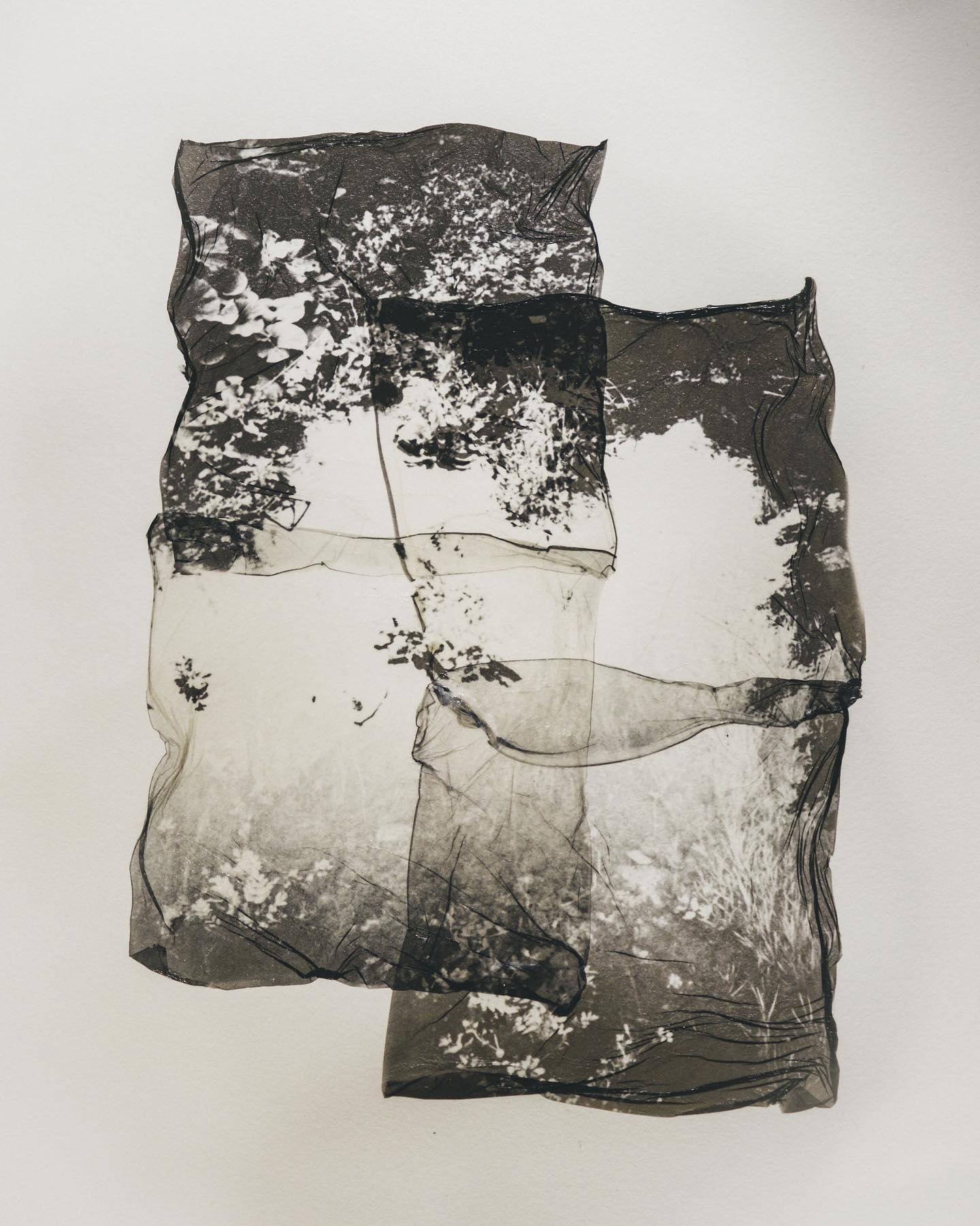 La exposición de Takahashi busca que los visitantes conecten la fotografía contemporánea de Japón con recuerdos e interpretaciones personales