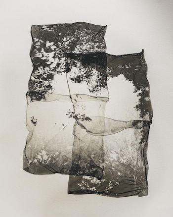 Una obra de arte abstracto en blanco y negro con dos piezas de material translúcido y arrugado superpuestas, mostrando patrones de árboles y follaje oscuro sobre un fondo blanco