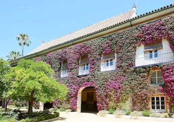Vista exterior del Palacio de las Dueñas, una fachada cubierta de buganvillas moradas. Se aprecian ventanas, balcones, un arco de entrada y árboles verdes