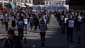 Cientos de activistas se concentran