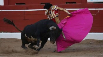 Jugadores del América captados en