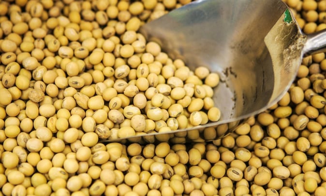 La soja y sus derivados como el tofu y edamame se asocian con menor riesgo de enfermedades cardíacas y diabetes tipo 2, desmintiendo mitos (AP)