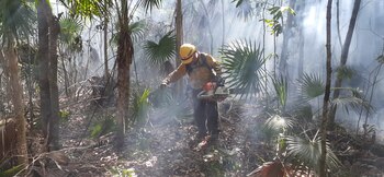 Sigue las recomendaciones de las