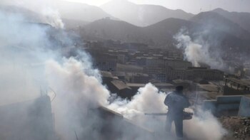 Brigadas sanitarias fumigaron el miércoles en Lima el gigantesco cementerio de Nueva Esperanza a para erradicar al mosquito transmisor del dengue, en un intento por controlar un nuevo brote de esta enfermedad endémica en Perú, que ha matado a una treintena de personas este año.