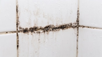 Azulejos blancos con gotas de agua y manchas negras de moho acumuladas en las juntas.