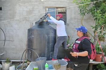 Se están llevando a cabo