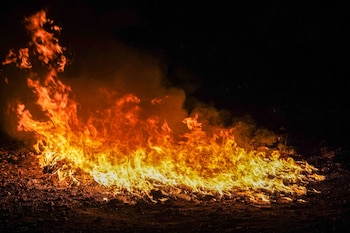 Incineración de estupefacientes decomisados, parte del procedimiento legal para eliminar sustancias ilícitas en El Salvador (Cortesía: FGR).
