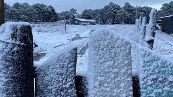 La nieve cubre a Durango
