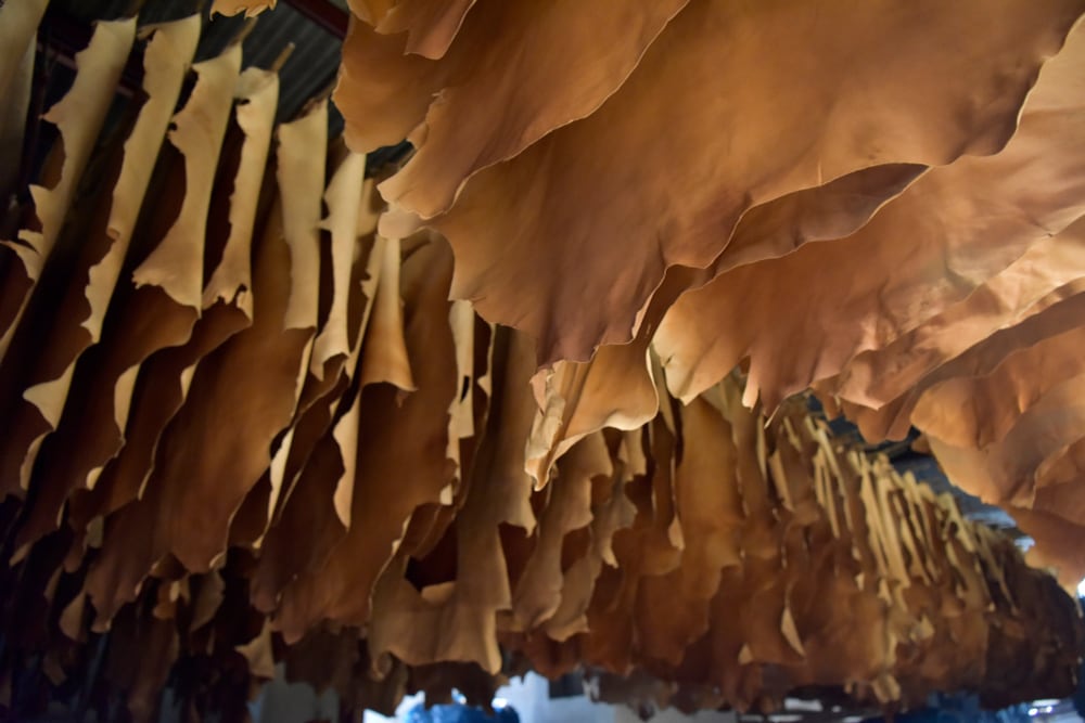 La eliminación de la participación de entidades privadas en el control de exportaciones de cueros y afines para consumo busca corregir una de las principales fuentes de demora y sobrecostos en el proceso aduanero (Foto: Shutterstock)