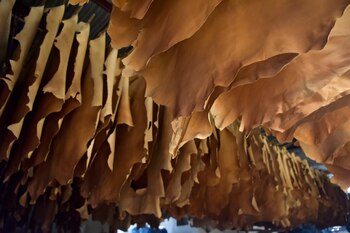 La eliminación de la participación