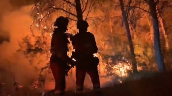 La UME despliega 200 militares y 70 medios contra el incendio en Murcia que ha quemado más de 100 hectáreas del parque de El Valle-Carrascoy