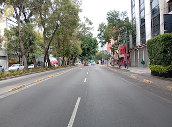 La avenida Insurgentes registra buen avance en el tramo que va de Paseo de la Reforma hacia el Eje 1 (X@OVIALCDMX)