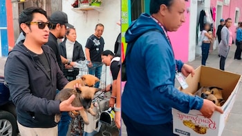 Rescatan a mascotas que eran