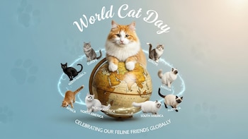 Día Mundial del Gato: 5