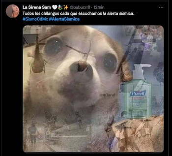 (Foto: Captura de pantalla)