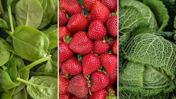 El informe, basado en pruebas realizadas por el Departamento de Agricultura de Estados Unidos (USDA) sobre 54.344 muestras de 47 tipos de productos, advierte sobre la presencia persistente de sustancias químicas incluso tras lavar y pelar los alimentos