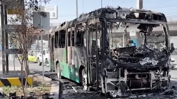 Turistas de Chicago vivieron el