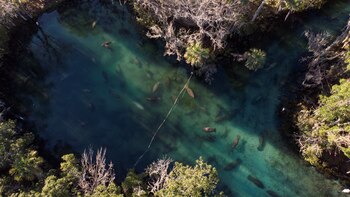 8 refugios de vida silvestre