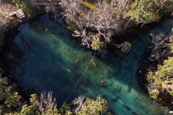 Three Sisters Springs en Crystal