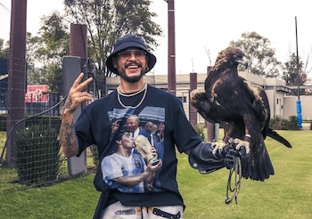 Celeste forma parte de un