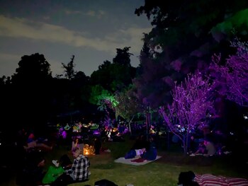 Fotografía de los picnics nocturnos