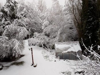 La ciudad de Bariloche permaneció cubierta por una intensa nevada que comenzó durante la noche y se extendió toda la jornada (Foto: X)