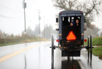 Los buggy son vehículos tirados