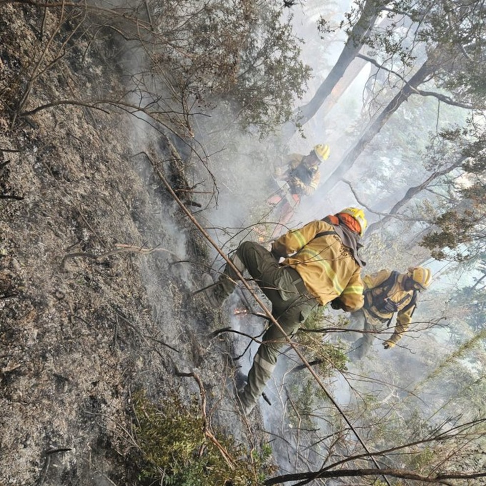 HRMJDTFYTNAWVPXEPSERWVEDAQ