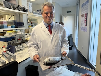 El catedrático de la Universidad de Granada y autor del estudio Miguel Alaminos (UGR)