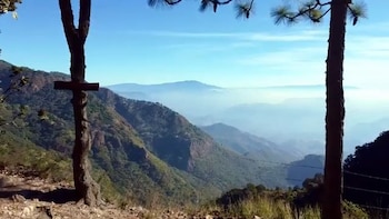 Biodiversidad y conservación del suelo: los retos frente al avance de la actividad humana en México