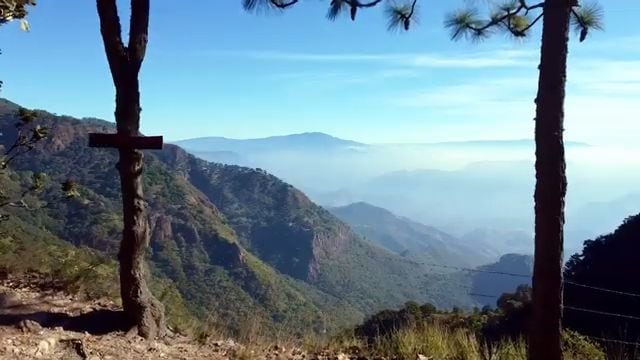 Biodiversidad y conservación del suelo: los retos frente al avance de la actividad humana en México