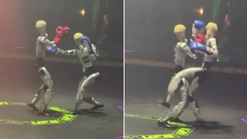 Pelea de robots humanoides en