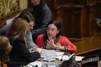 Micaela Melgar, diputada del Partido