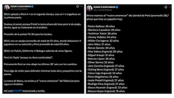 La opinión y análisis de Eddie Fleischman sobre la selección peruana y Mano Menezes tras la derrota ante Estados Unidos. - capturas: Twitter Eddie Fleischman
