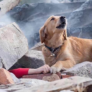 La foto fue tomado por