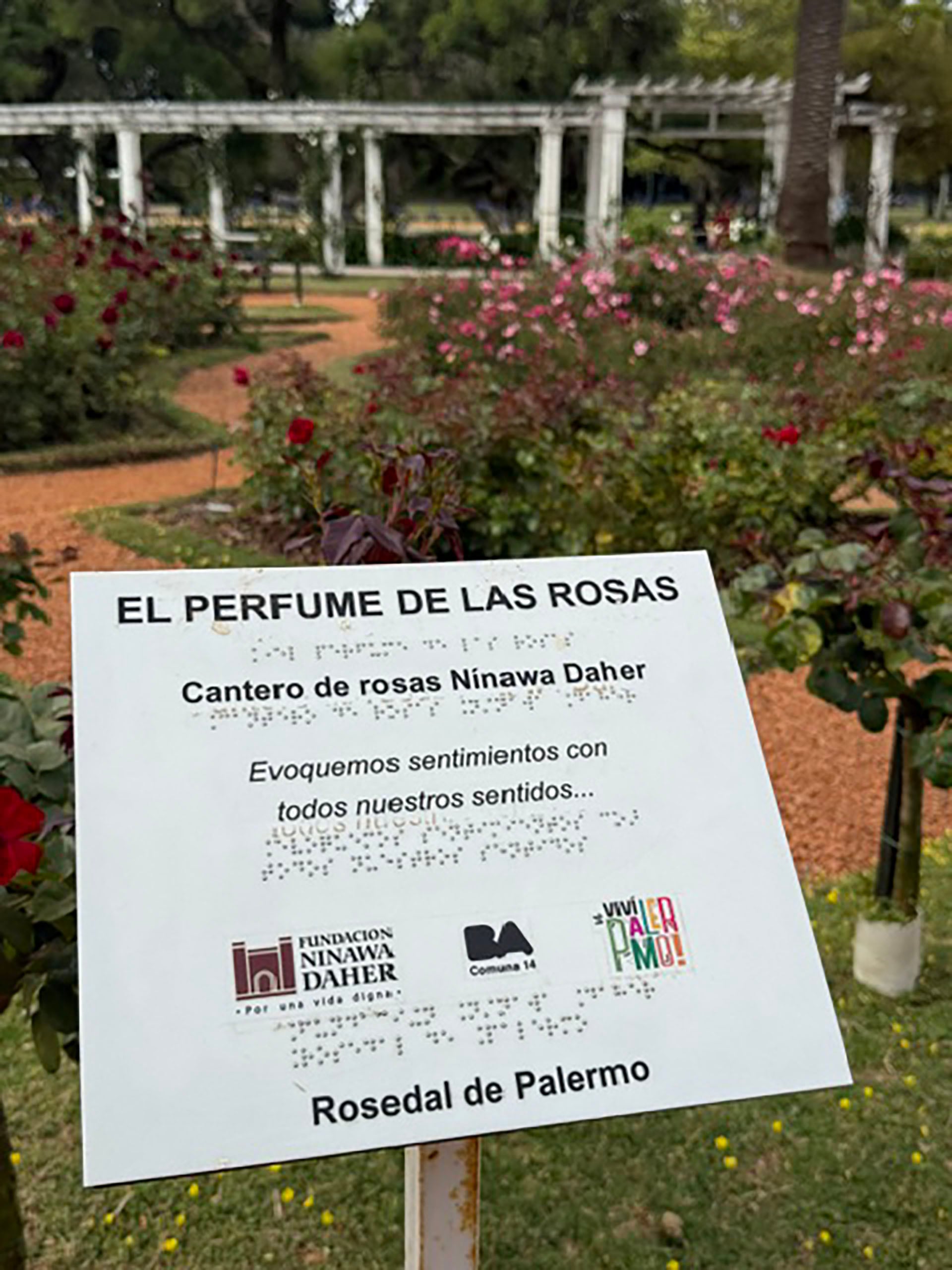 Señalética en braille y macrotipo del cantero de rosas Nínawa Daher en el Rosedal de Palermo