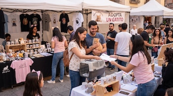 Puestos con camisetas, tazas, peluches de gatos; un hombre con un gatito naranja, una mujer con un transportín, otras personas.