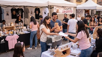Gato Fest 2026: bazar y adopción de michis en el evento felino más esperado en CDMX