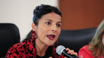 Ministerio de Medio Ambiente confirmó que la organización india Vantara visitará a Colombia para evalúar el plan de traslado de hipopótamos
